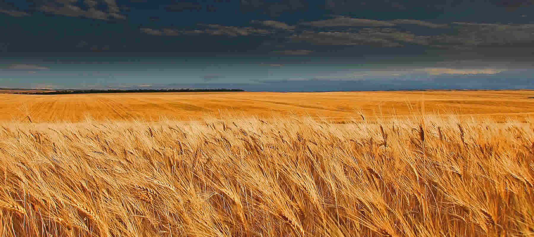 DICKEY-john GAC 2500-UGMA